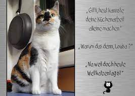 August 2018 um 5.05 uhr in bayern 1 am morgen. Weltkatzentag Foto Bild Tiere Haustiere Katzen Bilder Auf Fotocommunity