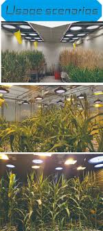 Grow light bulbs, briignite led grow light bulb a19 bulb, full spectrum grow light bulb, plant light bulbs e26 base, 11w grow bulb 100w equivalent, grow light for indoor plants, seed starting, 2pack 4.3 out of 5 stars 39 200w Led Grow Light Full Spectrun Ufo Flower Growth Lamp For Indoor Plants L Toolots