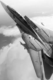 F 14 Tomcat Fighter Jets Military Aircraft Aircraft