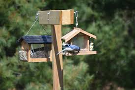 Traditional table and chair squirrel feeder is assembled with stainless steel screws and quality… Cottage Workshop Building A Squirrel Proof Bird Feeder James Ross