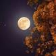 Thankful for the Stars - Astronomy Class event in Cincinnati, OH
