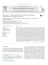 Image result for Vincetoxicum stenolobum