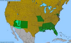 Image result for Hackelochloa granularis