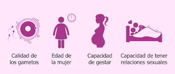 La expresión visión 20/20 significa visión normal, explica el dr. Que Significa Ser Fertil Y Que Factores Influyen En La Fertilidad