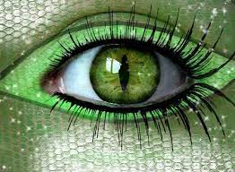 Snake Eye Snake Eyes Beautiful Green Eyes Eyes