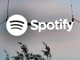Musik sudah menjadi bagian dari keseharian kita. Cara Download Lagu Di Spotify Lewat Hp Dan Pc