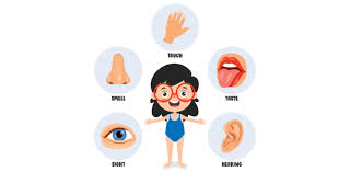 Image result for Sensation