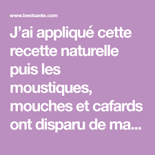 J Ai Applique Cette Recette Naturelle Puis Les Moustiques Mouches Et Cafards Ont Disparu De Ma Maison Moustique Faire Ses Produits Menagers Cafards