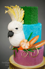 Carnival Cockatoo Fondant Cake Designs Bird Cakes Animal Cakes
