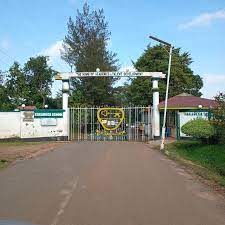Kakamega High School’s CBE Subjects, Grade 10 Admissions, Pathways, Contacts, Location, Fees, Admission, Photos {Full Details}