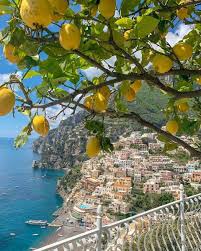 Find over 100+ of the best free lemon tree images. Aesthetic Sharer Zhr On Twitter Lemon Https T Co Pfqgoijkog Twitter