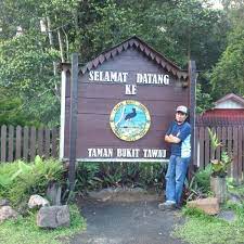 Taman nasional bukit tawau merupakan salah satu spot wisata terbaik yang ada disini, tempat wisata ini memiliki spot wisata otentik yang menarik yang kalian dapat kunjungi selama berada ditawau. Photos At Taman Bukit Tawau 5 Tips From 279 Visitors