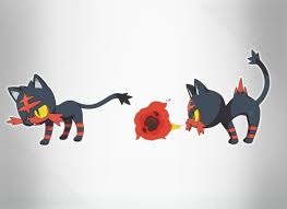 Black And Red Cat Pokemon Name Litten The Water Starter In Pokemon Sun And Pokemon Moon Pokemon Pokemon Sun Pokemon Moon