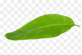 Png only collects quality transparent png images and get them ready for free for you. Pngegg Laden Sie Transparente Png Bilder Herunter