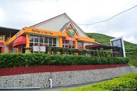 Must visit this cameron tea valley if you are ever in cameron highlands. B Home Blue Valley Jaya Cameron Highlands Apartments For Rent In Tanah Rata Pahang Malaysia