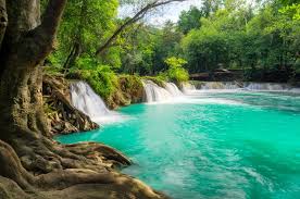 Phi phi island speedboat excursion. Khao Yai Nationalpark In Thailand Urlaubsguru