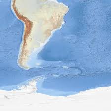 Image result for Galeomma