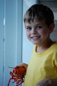 More about the Area — 219 House Kennebunk Maine