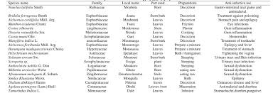 Image result for Agelaea pentagyna