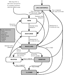 Life Cycle Of A Bug