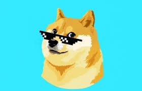 Think of it as the internet currency. Dogecoin Foundation Returns With Ethereum S Buterin As Adviser Coindesk