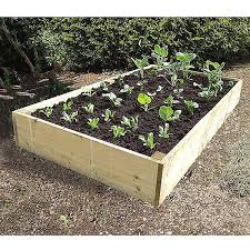 Be it metal raised garden beds or galvanized raised garden beds, one must always consider the depth of the garden bed very carefully. Deluxe Extra Deep Wooden Raised Vegetable Bed 1 8x 0 9mtr Raised Vegetable Beds Webbs Garden Centre