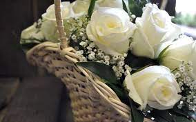 White Roses Wallpaper White Roses Rose Wallpaper