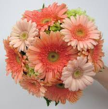 Woodbridge, va florist | brandon's flowers provides same day flower delivery on stunning flower arrangements for all occasions, celebrate florals with bouquets, long stem roses, garden roses, birthdays, mothers day, love and romance, funeral flowers, sympathy, prom flowers, plants, dish gardens, and much more in woodbridge, va 22191, and surrounding areas! Soft Peach Buffalo Wedding Event Flowers By Lipinoga Florist Peach Wedding Flowers Flower Bouquet Wedding Bridesmaid Flowers