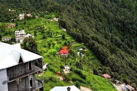 Offbeat Places|Homestays|Pangot Village Places To Visit Nainital