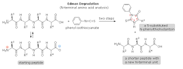Review article | open access. Proteins