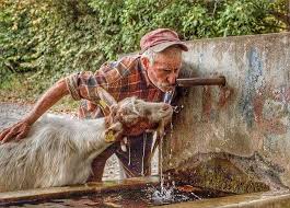 Paylasabilmek Bir Tas Suyu The Man Who Shared The Water With The Animals Anadolu Anatolia Emek Bereketli Yagmur Animals Animals Beautiful Pictures