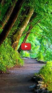 Check spelling or type a new query. Swamp Landscape Nature Swamp Water Painting Swamp Landscape Art Nature Walk Aesthetic Swamp Landscape Live Wallpapers Forest Aesthetic