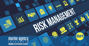 Image result for Risk Management
