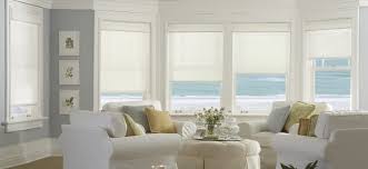 You can let light in and bring a little bit of the outdoors into your house. Best Ideas For Window Coverings For Large Windows
