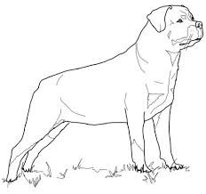 Rottweiler Coloring Page From Dogs Category Select From 20946 Printable Crafts Of Cartoons Nature A Dog Coloring Page Puppy Coloring Pages Dog Coloring Book
