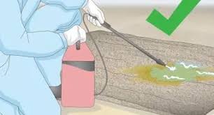 The vinegar works to neutralize the feces. How To Clean Up Dog Diarrhea 10 Steps With Pictures Wikihow