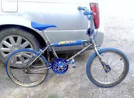 Image result for Blue Royal 1984 UMM