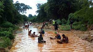 Check spelling or type a new query. Criminal Gangs Control Venezuelan Amazon Mining Gold Diamonds Coltan Un Report Mercopress