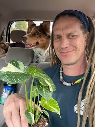 Did I do ok buying 2 main stems for $20?