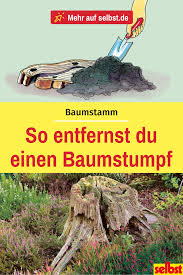 Removing Tree Stump Instructions Instructions Removing Stump Tree Removing Tree Stumps Tree Stump Easy Garden