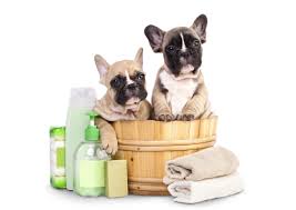Find best spa located near me with walking distance in feet/miles. Bark Avenue