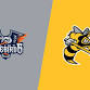 Flint Firebirds at Sarnia Sting event image