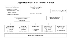 cores center for large data research and data sharing in