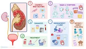 Image result for Acute Pyelonephritis