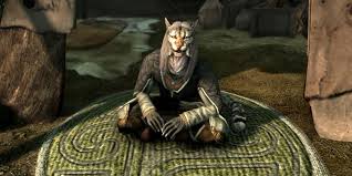 In Skyrim Se, Are There Finite Numbers Of Guards, Like If A High-Level  Vampire Gets Loose In Whiterun? Will He Just Depopulate It Of Everything  Killable Or Will Guards Just Keep Coming? -