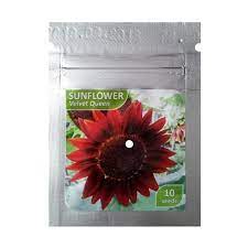 Sebelum itu, mari kita bahas dulu pengertian bunga matahari ya. Jual Oem Benih Sunflower Velvet Queen Matahari Bibit Bunga Terbaru Juni 2021 Blibli