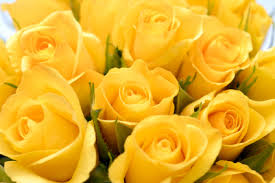 Avas flowers® for franklin, tennessee. Afe Donors Guardians Club American Floral Endowment