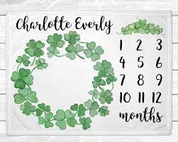 Pin On Milestone Blankets