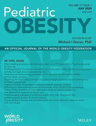 Impact of the motivational interviewing for childhood obesity treatment:  The Obemat2.0 randomized clinical trial