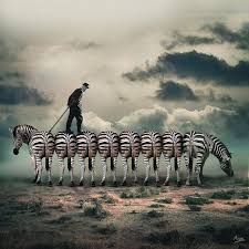 Zebra Crossing By Anon120 Via Flickr Surrealism Photography Surreal Art Art